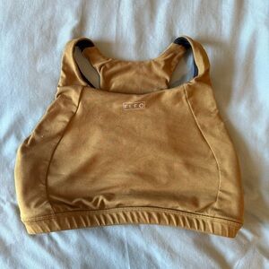Fleo Golden Yellow Sports Bra